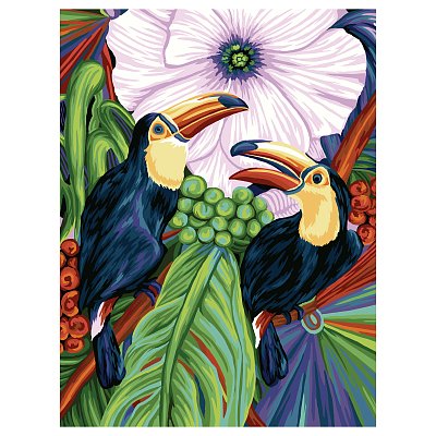 Картина по номерам на холсте ТРИ СОВЫ «Туканы», 40×50, с акриловыми красками и кистями