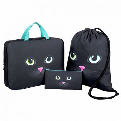Школьный набор BRAUBERG: папка А4, мешок для обуви 42×33 см, пенал-косметичка 20×10 см, «Black cat»