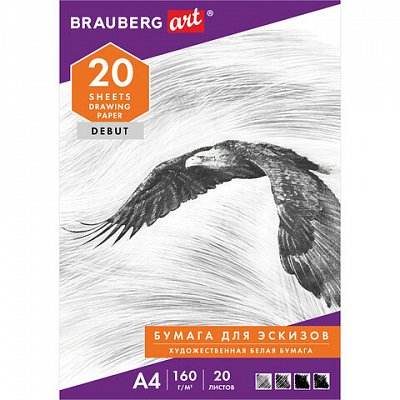 Папка для рисования А4, 20 л., 160 г/м2, BRAUBERG, 210×297 мм, «Орел»