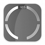 Весы напольные Centek CT-2425 Gray электронные 180кг, 0.1кг, LCD, 10 прогр