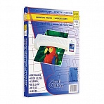 Заготовки для ламинирования ProfiOffice (А4, 125 мкм, 100 штук в упаковке)