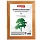 Рамка 15×20 см, дерево, багет 18 мм, BRAUBERG «HIT», канадская сосна, стекло, подставка