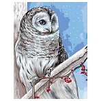 Картина по номерам на холсте ТРИ СОВЫ «Белая сова», 30×40, с акриловыми красками и кистями