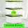 Контейнер пищевой 1.0 л КОМПЛЕКТ 3 шт., ланч бокс, КАСКАД КВАДРО, 12×14х14 см, прозрачный/зеленый, 67001