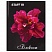 превью Блокнот 7БЦ, А6, 80 л., обложка ламинированная, клетка, STAFF, «Красный цветок на черном», 110×147 мм
