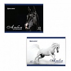 Альбом для рисования, 40 л., BRAUBERG, обложка мелованный картон, 100 г/м2, «Благородные кони», 2 вида