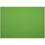 Картон плакатный 48×68см, Мульти-Пульти, 10л., мелованный в пакете, зеленый, 380г/м2