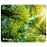 превью Коврик для мыши DEFENDER Silk Pad Nature, шелк+натуральная резина, 230×190×1.6 мм, 10 видов