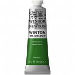 Краска масляная художественная Winsor&Newton «Winton», 37мл, туба, глауконит