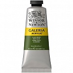 Краска акриловая художественная Winsor&Newton «Galeria», 60мл, туба, зеленый оливковый
