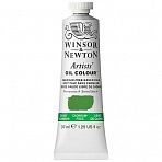 Краска масляная профессиональная Winsor&Newton «Artists' Oil», беcкадмиевый бледно-зеленый