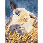 Картина по номерам на холсте ТРИ СОВЫ «Кролик», 30×40, с акриловыми красками и кистями