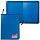 Папка на молнии пластиковая BRAUBERG 'Стандарт', стандартная фактура, А4, 325х230 мм, матовая, синяя