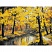 превью Картина по номерам на картоне ТРИ СОВЫ «Осенний лес», 30×40см, с акриловыми красками и кистями