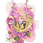 Картина по номерам на холсте ТРИ СОВЫ «Цветочная песня», 40×50, с акриловыми красками и кистями