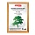 Рамка BRAUBERG «HIT», 30×40 см, пластик, красное дерево с позолотой (для дипломов, сертификатов, грамот)