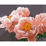 Картина по номерам на холсте ТРИ СОВЫ «Нежность», 40×50, с акриловыми красками и кистями