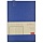 Ежедневник недатированный Bruno Visconti Trend искусственная кожа А5 160 листов синий (147x214 мм)