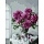 Картина по номерам на холсте ТРИ СОВЫ «Букет в вазе», 30×40, с акриловыми красками и кистями