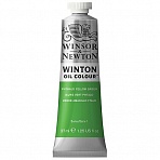 Краска масляная художественная Winsor&Newton «Winton», 37мл, туба, фтало-зеленый желтый оттенок
