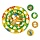 Спирограф для рисования ТРИ СОВЫ «Джунгли», дерево, 2 зубчатых колеса,5 зубчатых кругов