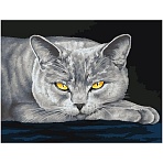 Картина по номерам на холсте ТРИ СОВЫ «Серый кот», 30×40, с акриловыми красками и кистями