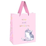 Пакет подарочный 18×23×10см MESHU «You are special», выборочный лак, белый крафт