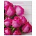 превью Пакет подарочный 26×12.7×32.4 см, ЗОЛОТАЯ СКАЗКА «Розовые розы», ламинированный