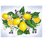 Картина по номерам на холсте ТРИ СОВЫ «Лимоны», 40×50, с акриловыми красками и кистями