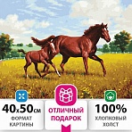 Картина по номерам 40×50 см, ОСТРОВ СОКРОВИЩ «Лошади на лугу», на подрамнике, акриловые краски, 3 кисти
