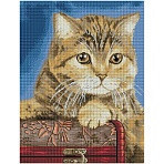 Алмазная мозаика ТРИ СОВЫ «Кошка», 40×50см, холст на деревянном подрамнике, картонная коробка с пластиковой ручкой