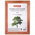 превью Рамка 15×20 смдеревобагет 18 ммBRAUBERG «Pinewood»красное деревостеклоподставка391217