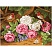 превью Картина по номерам на холсте ТРИ СОВЫ «Пышные розы», 30×40, с акриловыми красками и кистями