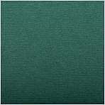 Бумага для пастели 25л. 500×650мм Clairefontaine «Ingres», 130г/м2, верже, хлопок, темно-зеленый