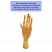 превью Манекен художественный «рука» Гамма «Студия», мужская правая, деревянный, 30см