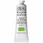 Краска масляная профессиональная Winsor&Newton «Artists' Oil», бледно-зеленый кадмий