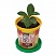 превью Набор для выращивания растений ВЫРАСТИ ДЕРЕВО! «Кофе арабский карликовый» (банка, грунт, семена)