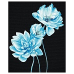 Картина по номерам на черном холсте ТРИ СОВЫ «Голубые цветы», 40×50, c акриловыми красками и кистями