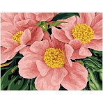Картина по номерам на картоне ТРИ СОВЫ «Розовый цвет», 30×40, с акриловыми красками и кистями