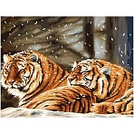 Картина по номерам на холсте ТРИ СОВЫ «Тигриная любовь», 40×50, с акриловыми красками и кистями
