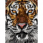 Картина по номерам на холсте ТРИ СОВЫ «Тигриный взгляд», 30×40, с акриловыми красками и кистями