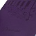 превью Дневник для музыкальной школы 48 л., обложка кожзам (лайт), термотиснение, BRAUBERG, фиолетовый, 105495