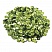 превью Пайетки для творчества «Классика», оттенки зеленого, 6 мм, 30 грамм, ОСТРОВ СОКРОВИЩ