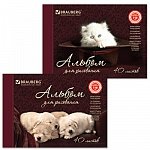Альбом для рисования, 40 л., BRAUBERG (БРАУБЕРГ), на завязках, обложка мелованный картон, 110 г/м2, «Котенок/щенок», 2 вида Альбом для рисования, 40 л., BRAUBERG (БРАУБЕРГ), на завязках, обложка мелованный картон, 110 г/м2, «Котенок/щенок», 2 вида