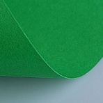 Бумага (картон) для творчества (1 лист) Fabriano Elle Erre А2+ 500×700 мм, 220 г/м2, зеленый