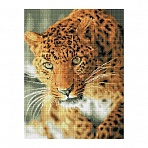 Алмазная мозаика ТРИ СОВЫ «Леопард», 40×50см, холст на деревянном подрамнике, картонная коробка с пластиковой ручкой
