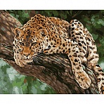 Картина по номерам на холсте ТРИ СОВЫ «Хищник», 40×50, с акриловыми красками и кистями