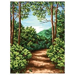 Картина по номерам на холсте ТРИ СОВЫ «Лесная тропа», 40×50, с акриловыми красками и кистями