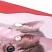 превью Папка-конверт с кнопкой BRAUBERG «Котенок», А4, 160 мкм, цветная печать, 228038