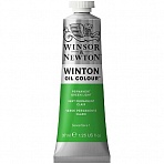 Краска масляная художественная Winsor&Newton «Winton», 37мл, туба, светло-зеленый перманентный